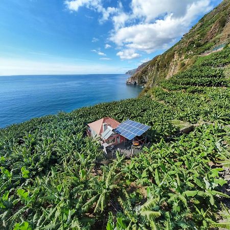 Casa Dos Anjos Villa Ponta do Sol  Dış mekan fotoğraf