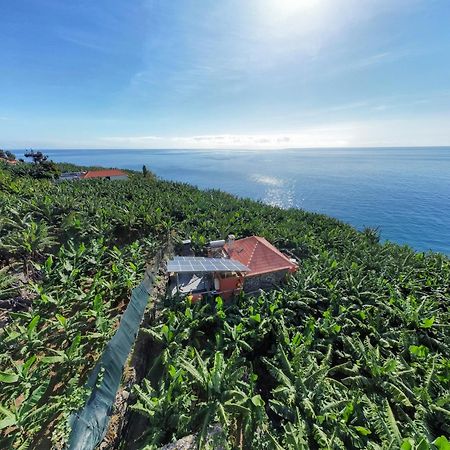 Casa Dos Anjos Villa Ponta do Sol  Dış mekan fotoğraf