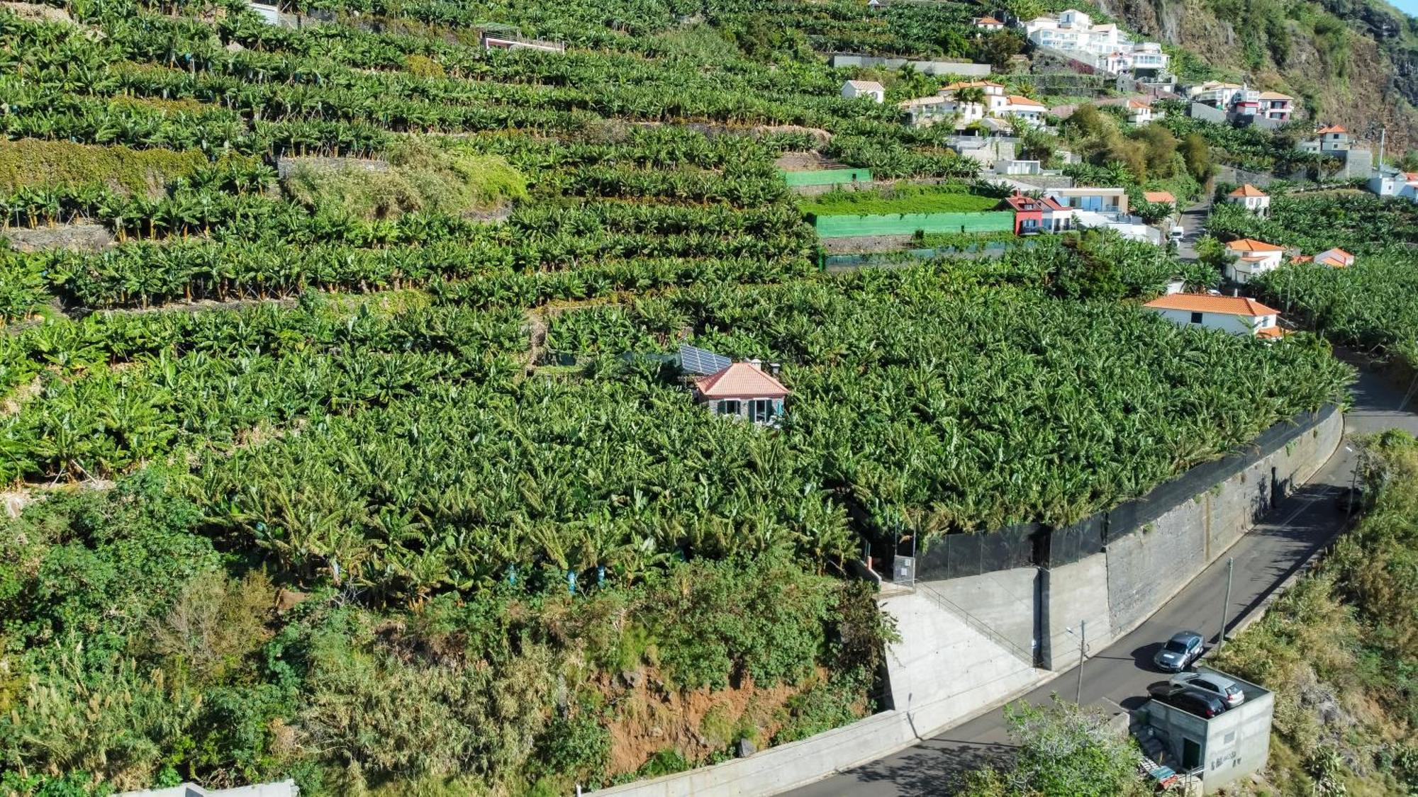 Casa Dos Anjos Villa Ponta do Sol  Dış mekan fotoğraf