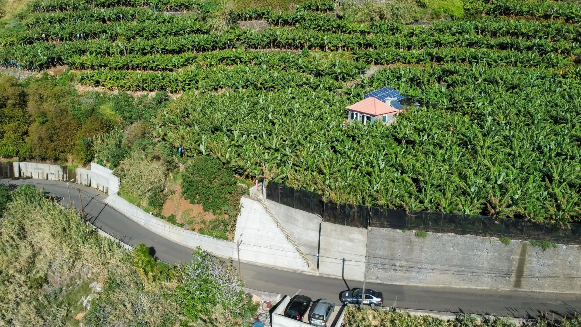 Casa Dos Anjos Villa Ponta do Sol  Dış mekan fotoğraf