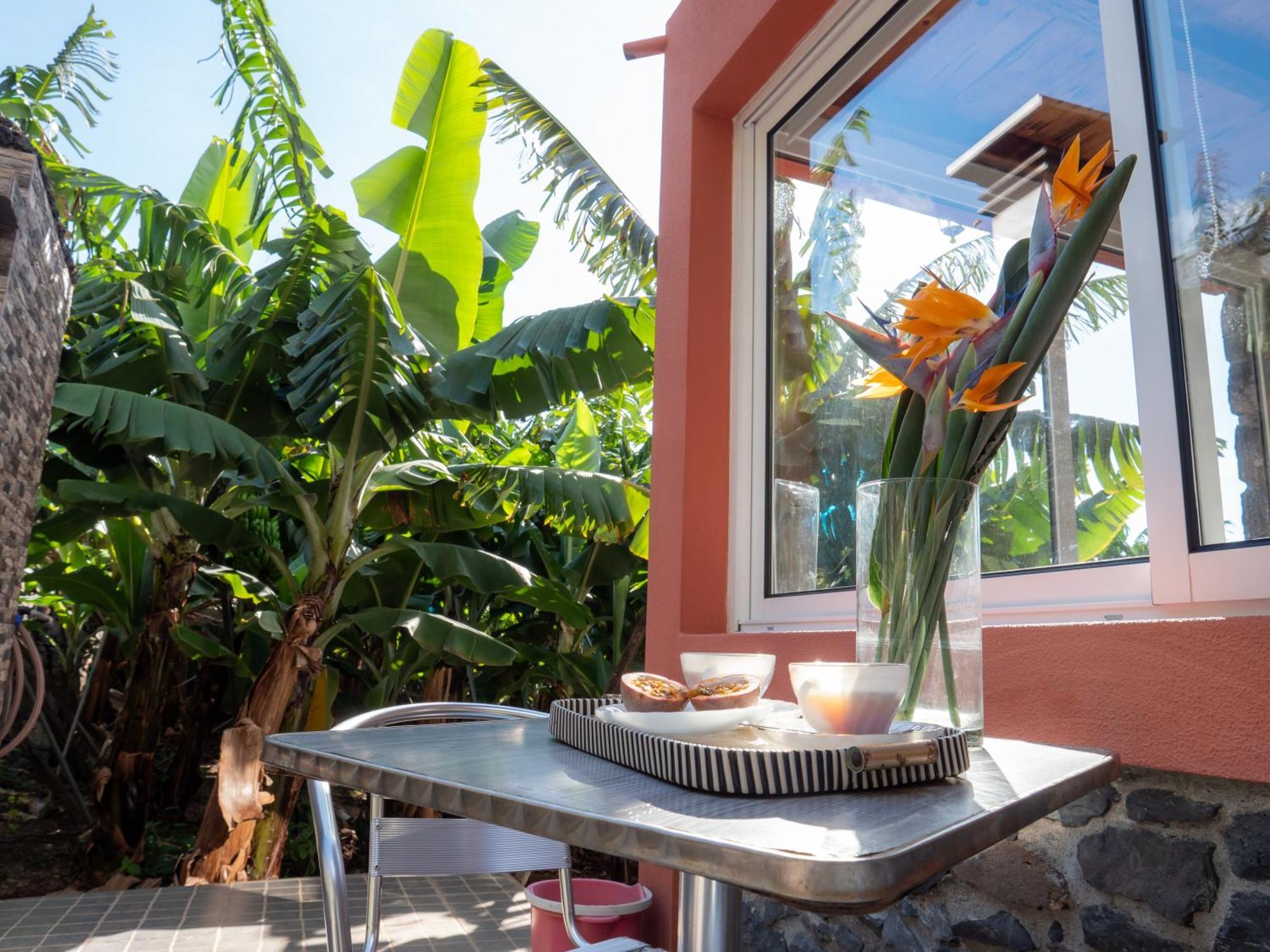 Casa Dos Anjos Villa Ponta do Sol  Dış mekan fotoğraf